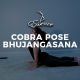 Cobra-Pose-Bhujangasana