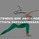 Extended-Side-Angle-Pose-Utthita-Parsvakonasana
