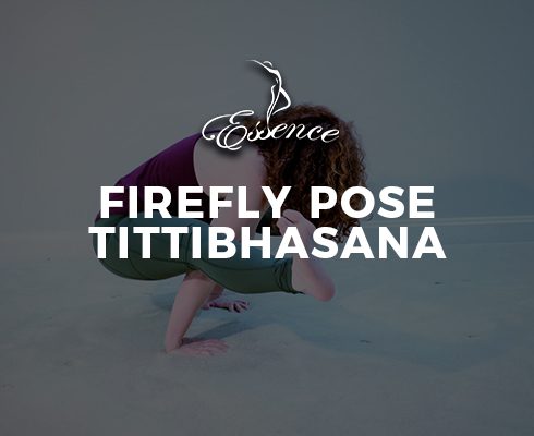 Firefly-Pose-Tittibhasana