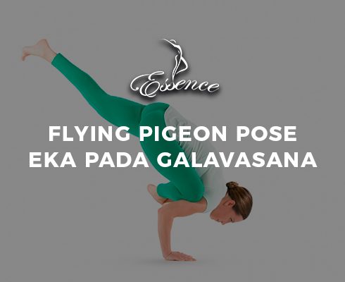 Flying-Pigeon-Pose-Eka-Pada-Galavasana