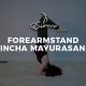 Forearmstand-Pincha-Mayurasana