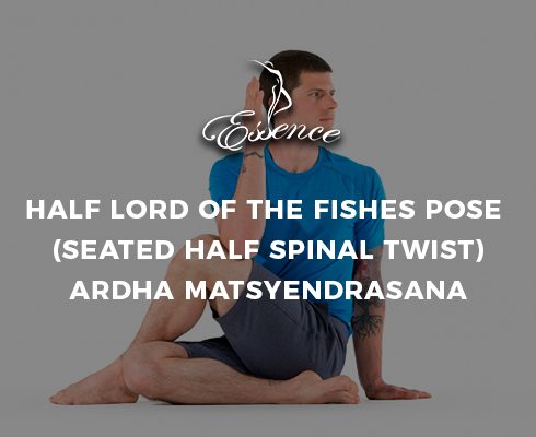 Half-Lord-of-the-Fishes-Pose-(Seated-Half-Spinal-Twist)