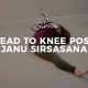 Head-to-Knee-Pose-Janu-Sirsasana