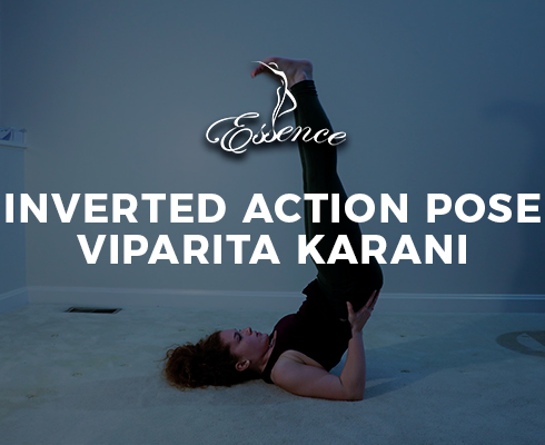 Inverted Action Pose Viparita Karani - Essence