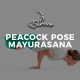 Peacock-Pose-Mayurasana