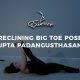 Reclining Big Toe Pose Supta Padangusthasana