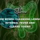 How bowel cleansing lowers internal fever and clears toxins