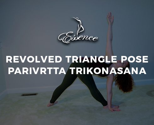 Revolved Triangle Pose Parivrtta Trikonasana