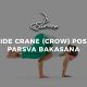 Side Crane (Crow) Pose Parsva Bakasana