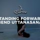 Standing Forward Bend Uttanasana
