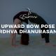 Upward Bow Pose Urdhva Dhanurasana