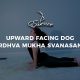 Upward Facing Dog Urdhva Mukha Svanasana